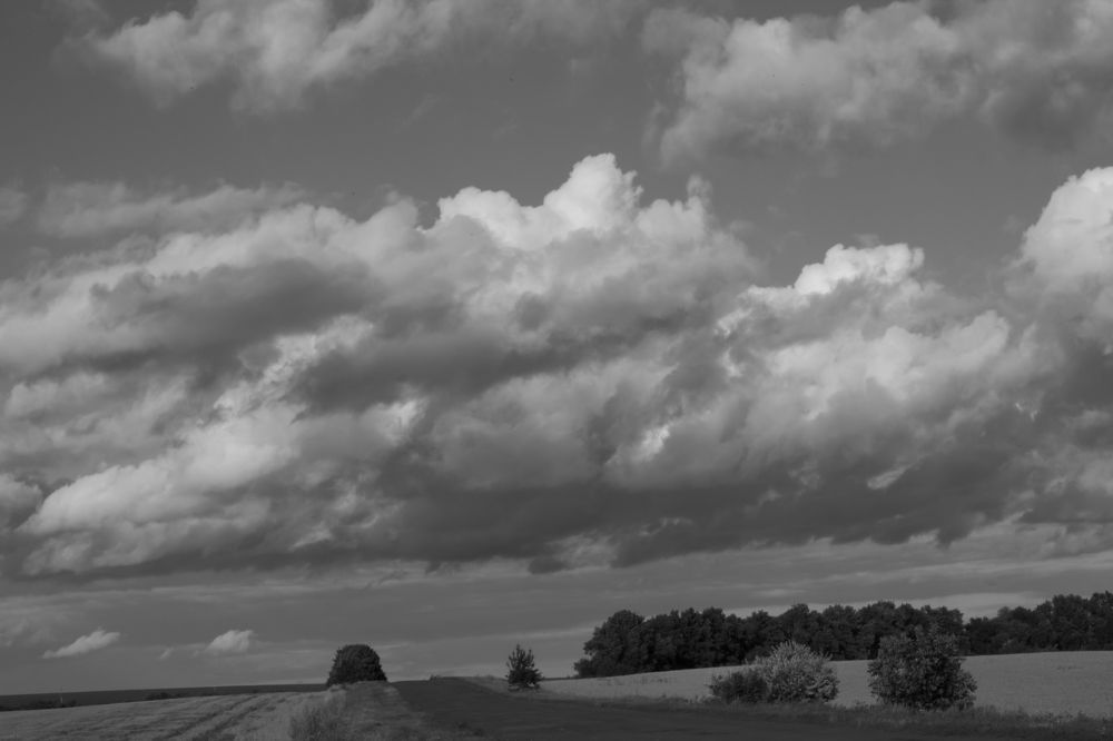 Photograph by даша ващенко