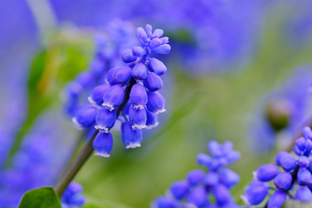 Photograph by Игорь Кад