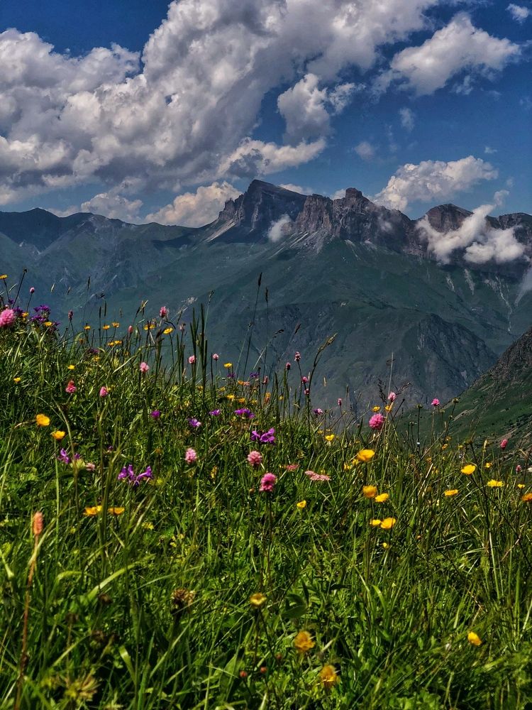 Photograph by Людмила Евстратова