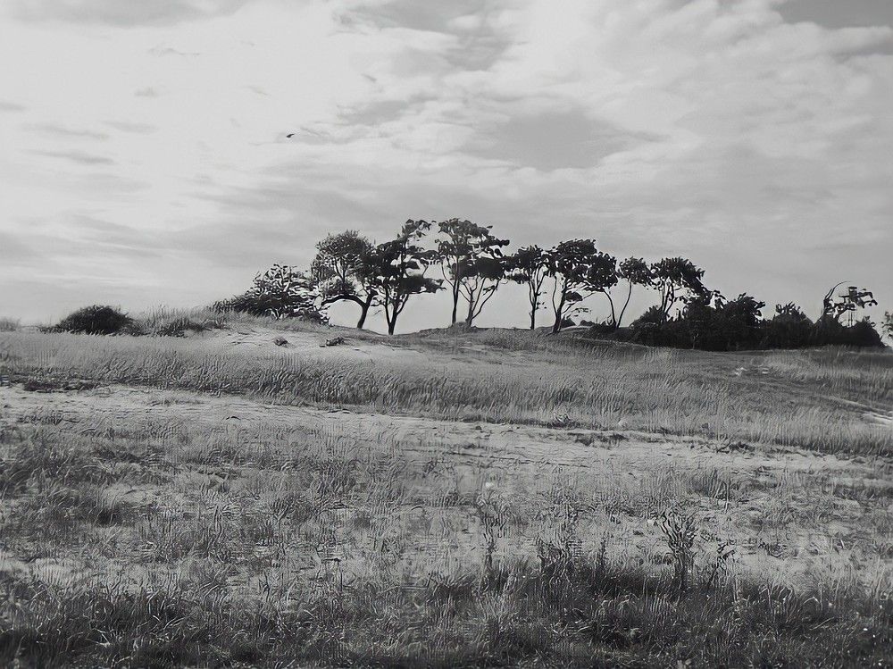 Photograph by Anna Solomina