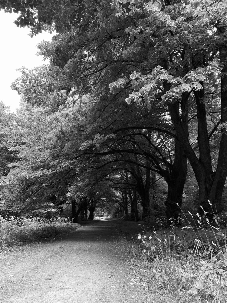 Photograph by Анна Зернова