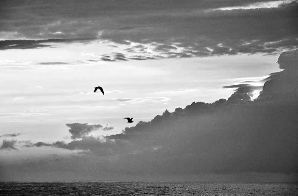 Photograph by Светлана Поляничева