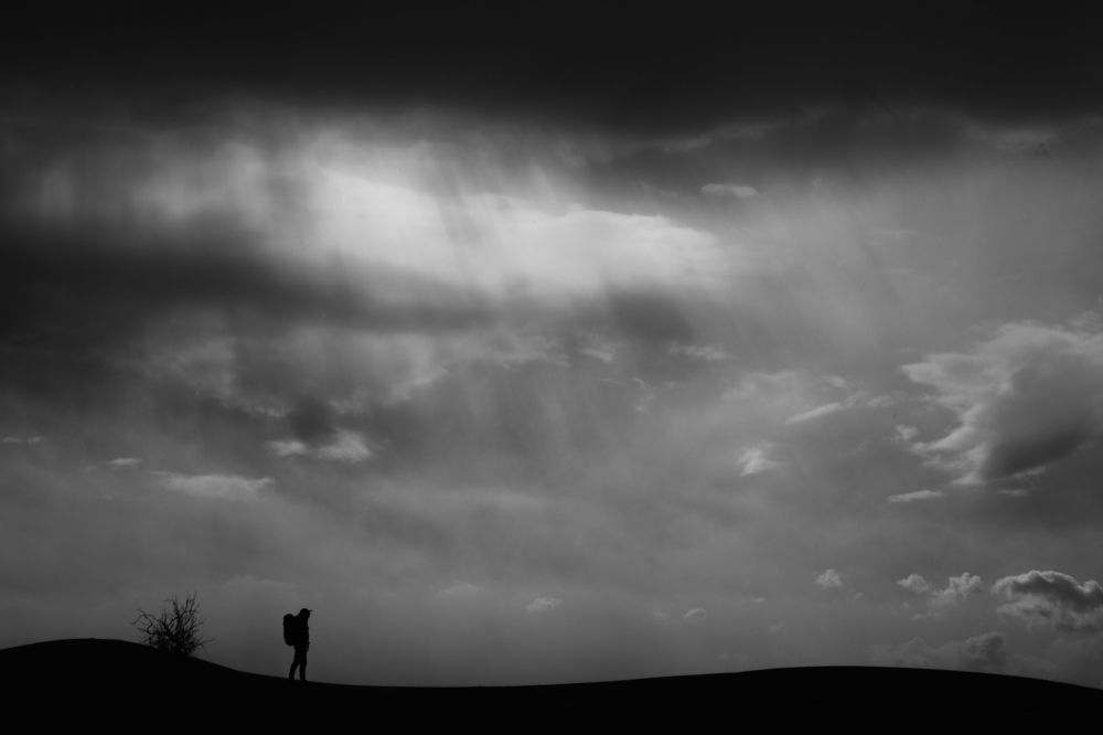 Фотография автора Ershad Mazloomi