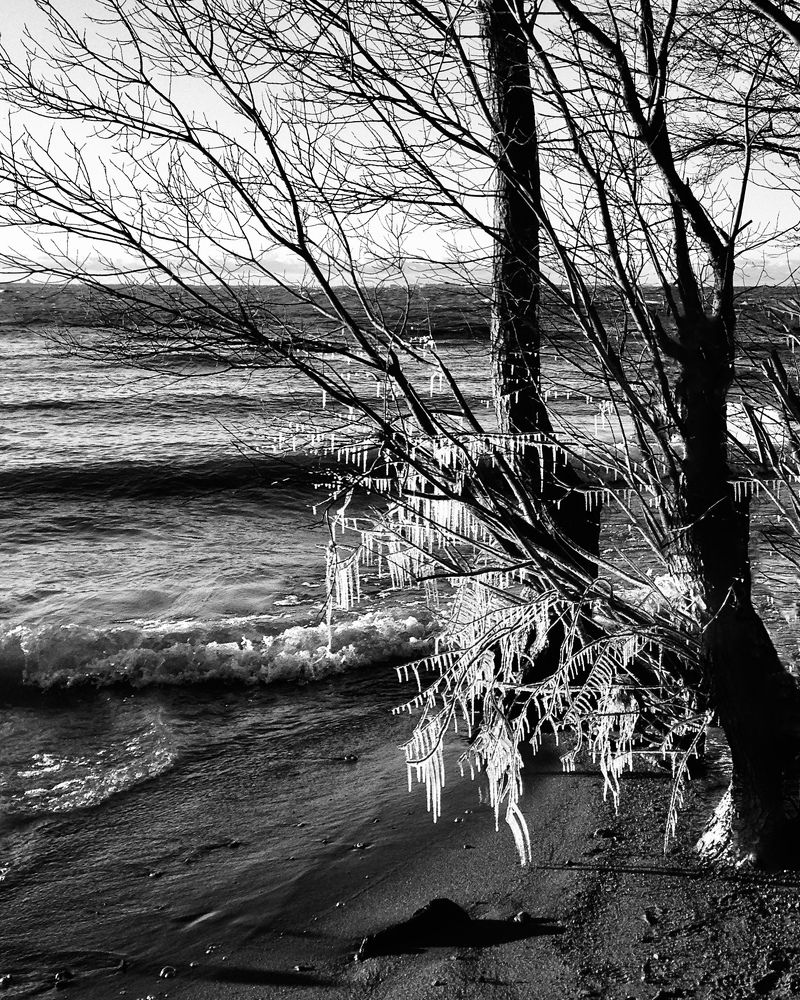Photograph by Логинова Наталия