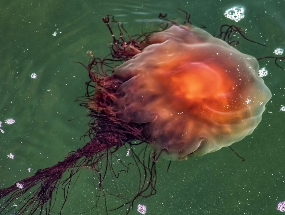 Photograph by Cindy Flick