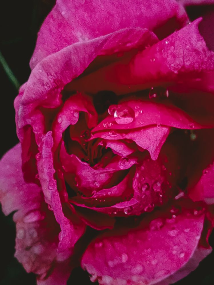 Photograph by Гульнара Зиангирова