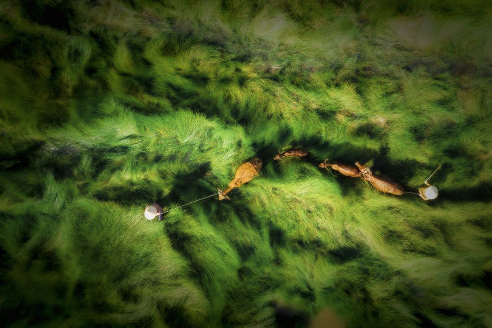 Photograph by Nguyen Ngoc Tuan