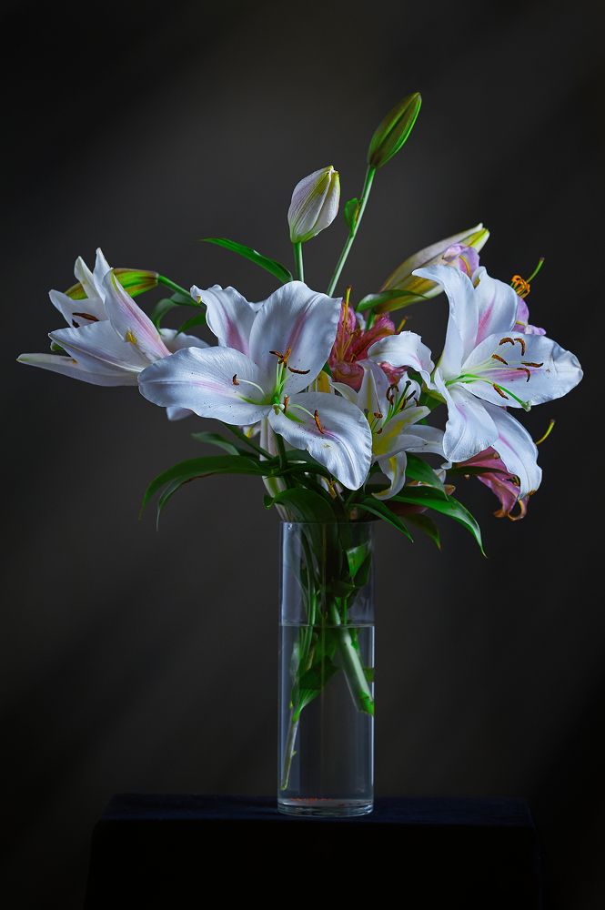 Photograph by Валерий Коновалов