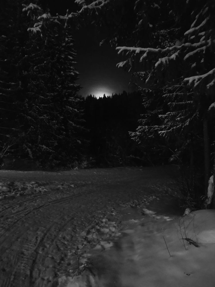 Photograph by Mila Vshivkova