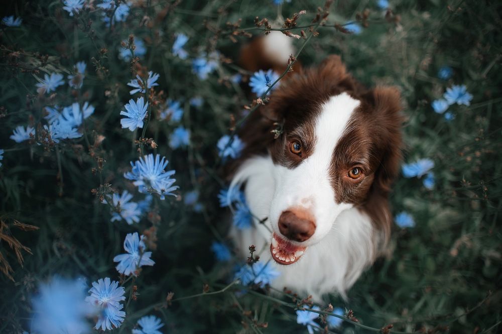 Photograph by Артамонова Анна