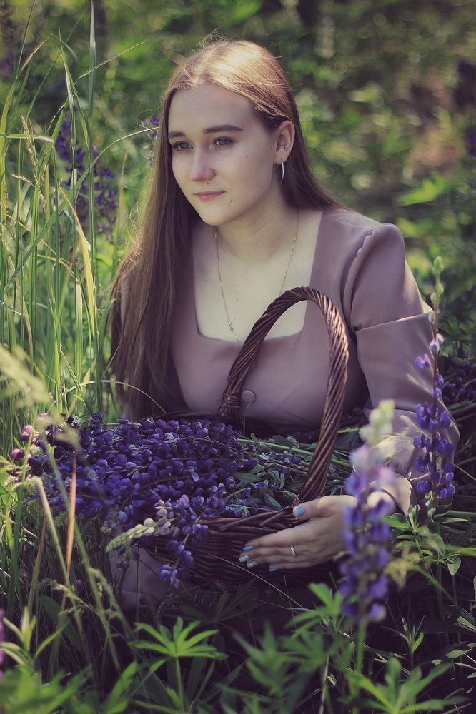 Корзина люпинов