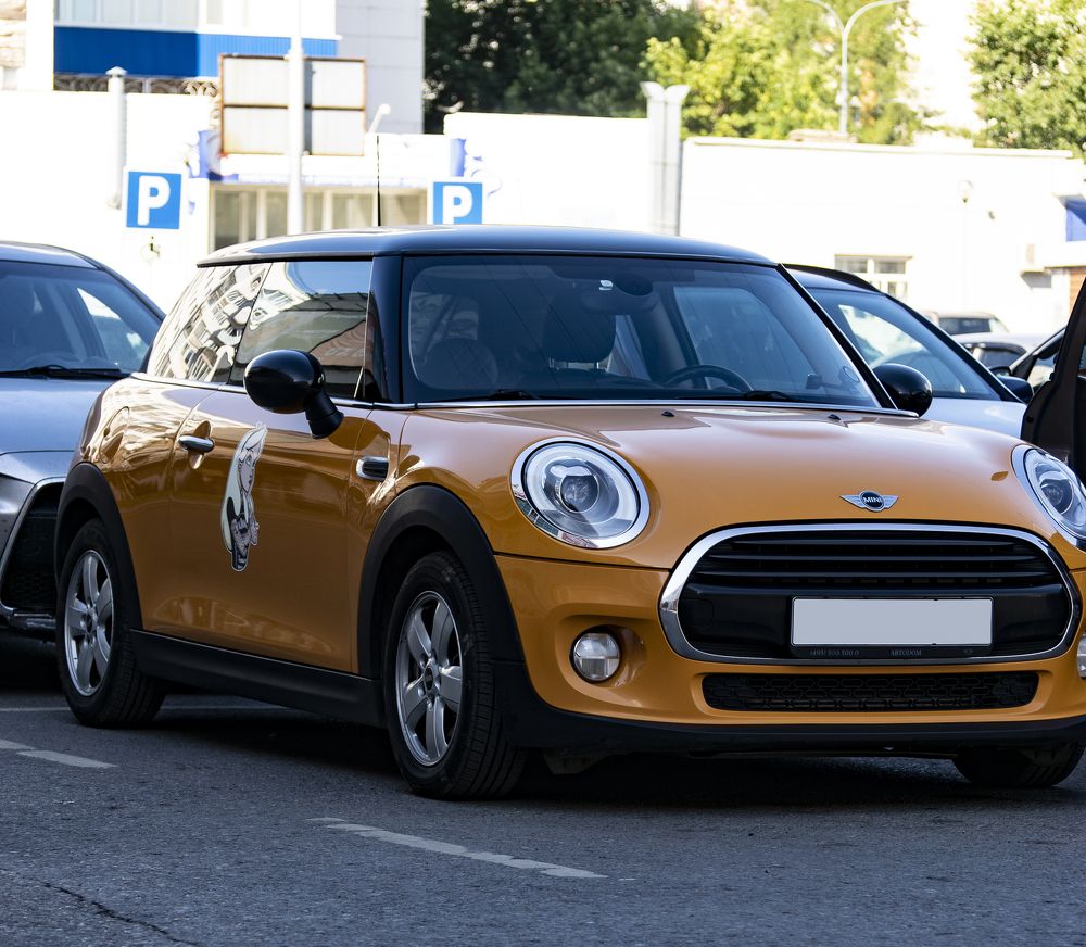 Фотография автора Павлов Дмитрий