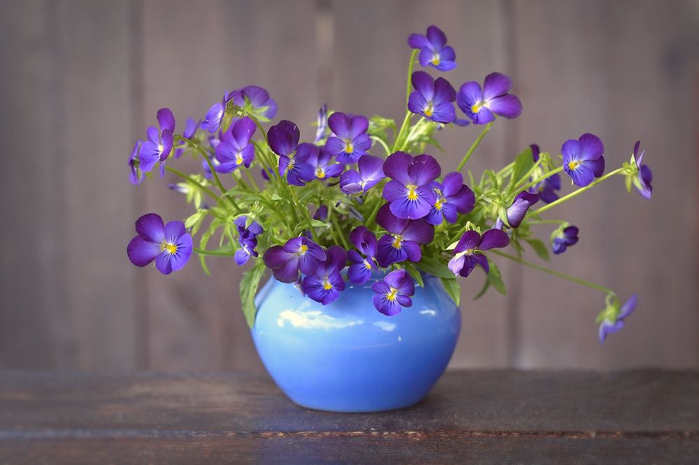 Photograph by Соколова Елена