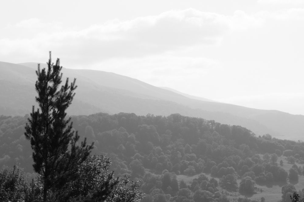 Photograph by RUPIRON