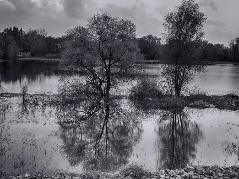 Фотография автора Валерий Цуркан