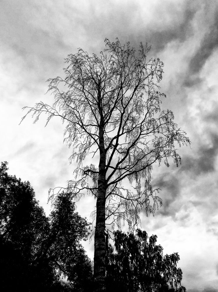 Photograph by Ольга