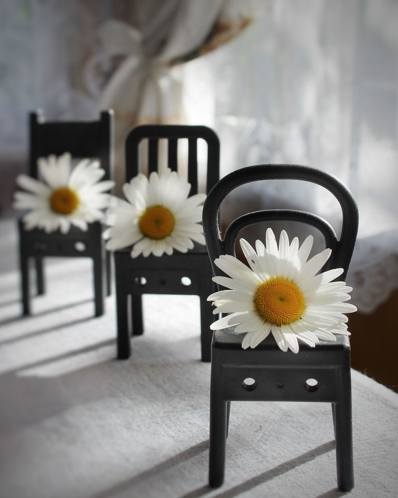 Фотография автора Тамара Караваева