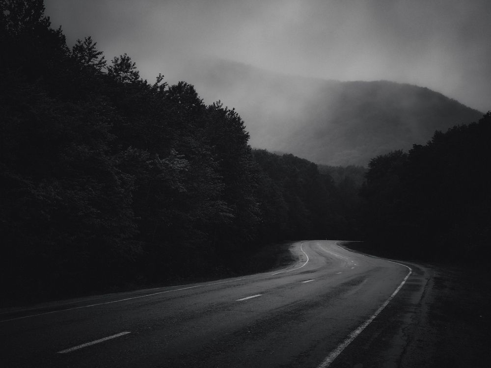 Дорога домой