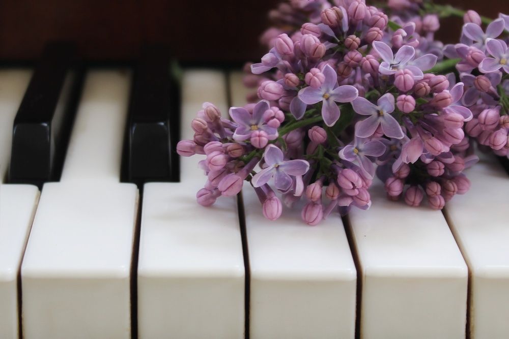 Фотография автора Тамара Караваева