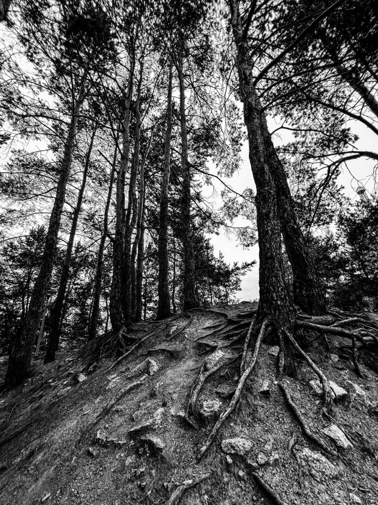 Photograph by Ольга Зуева