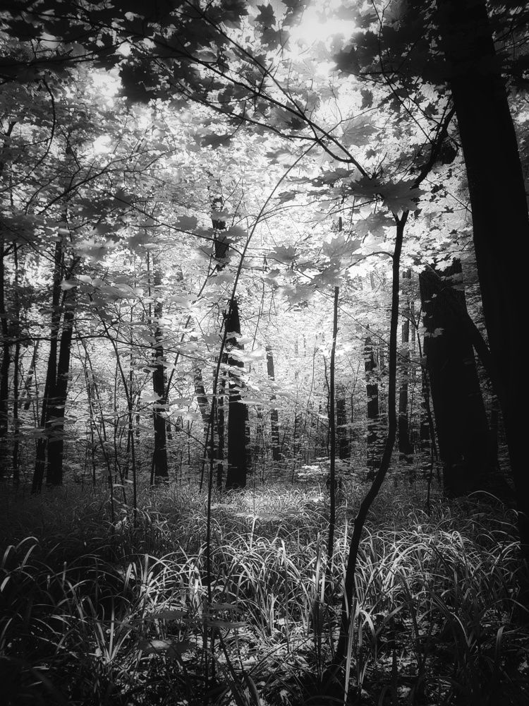 Photograph by Инга Сабанова