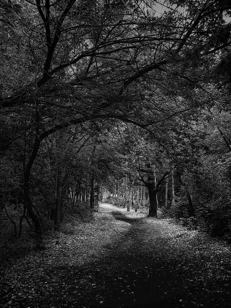 Photograph by Инга Сабанова