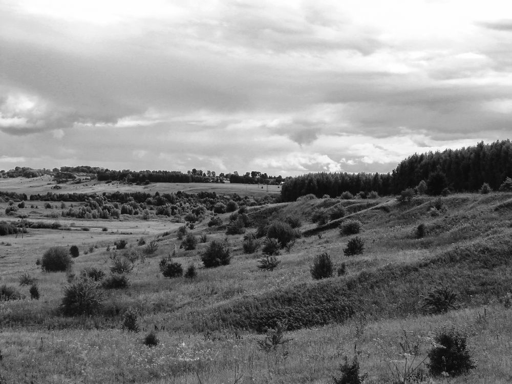 Фотография автора Оксана Сырчина