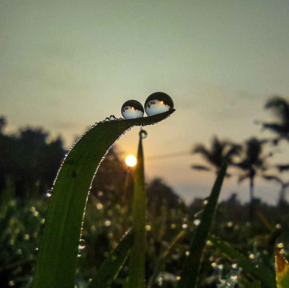 Photograph by Vaishnav K V