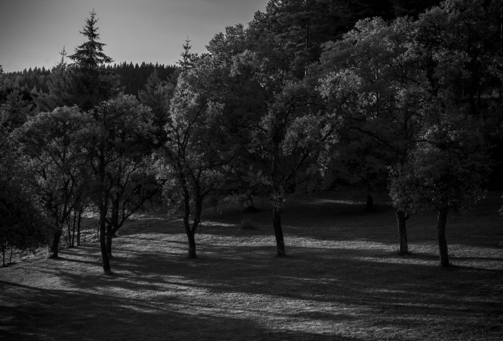 Photograph by Diana Máliková
