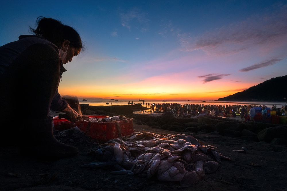 Fish market on the beach.