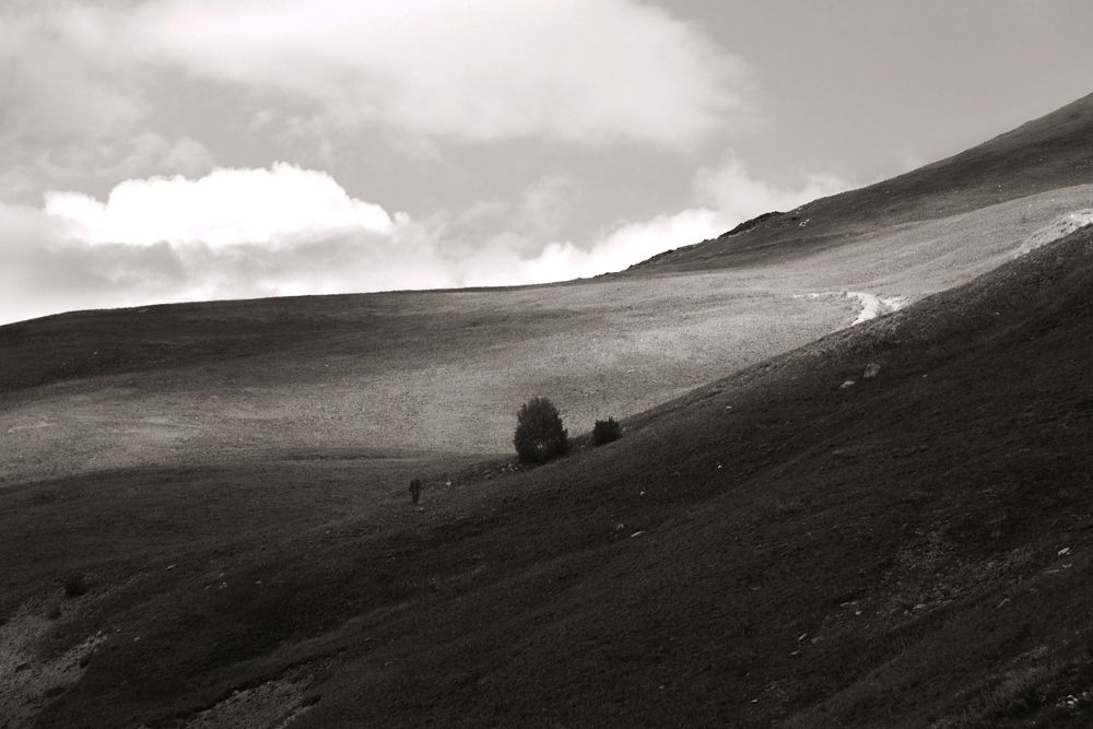 Photograph by Лолита Биттирова