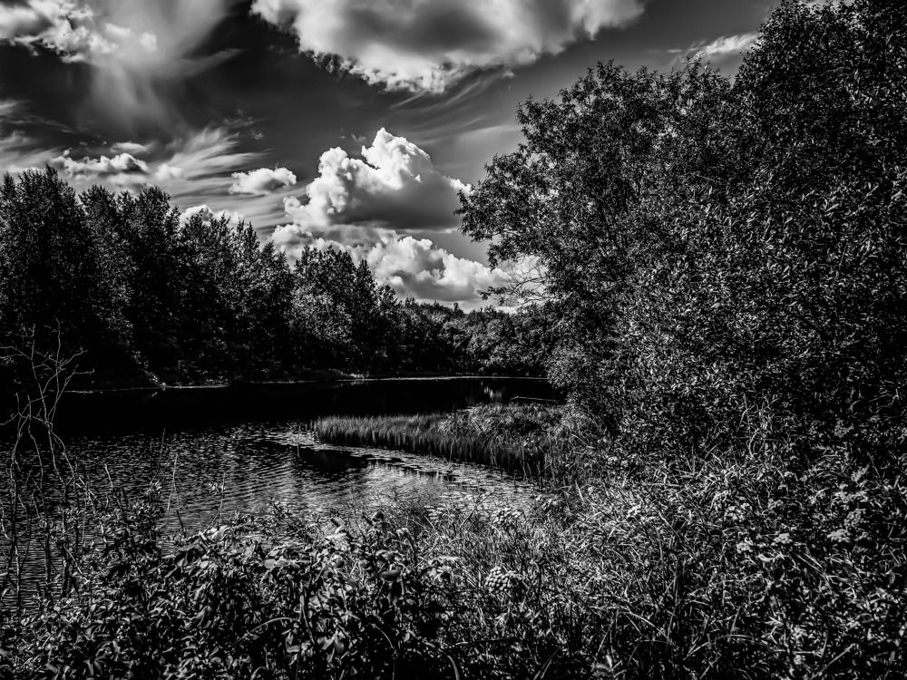 лесное озеро