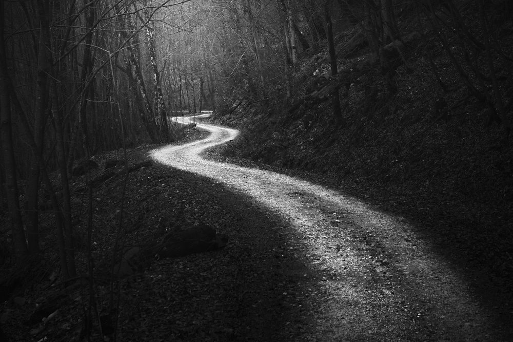 Photograph by Ali Memari