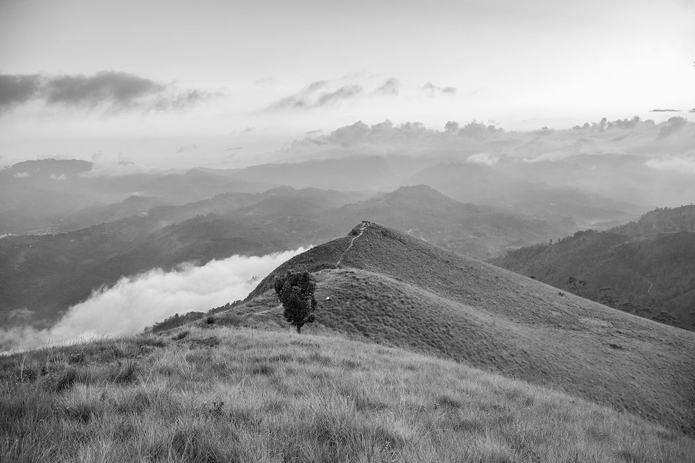 Фотография автора Laddu Sasindu Pramuditha De Silva