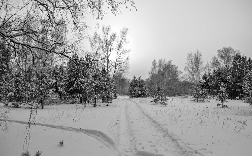 Photograph by Anton Nagel