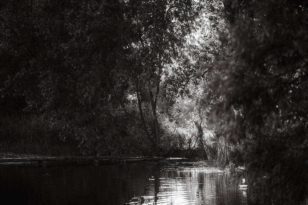 Photograph by Ольга Додонова