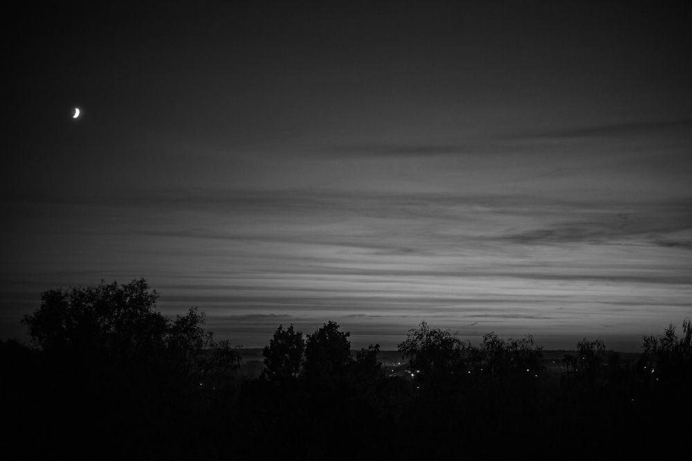 Photograph by Ольга Додонова