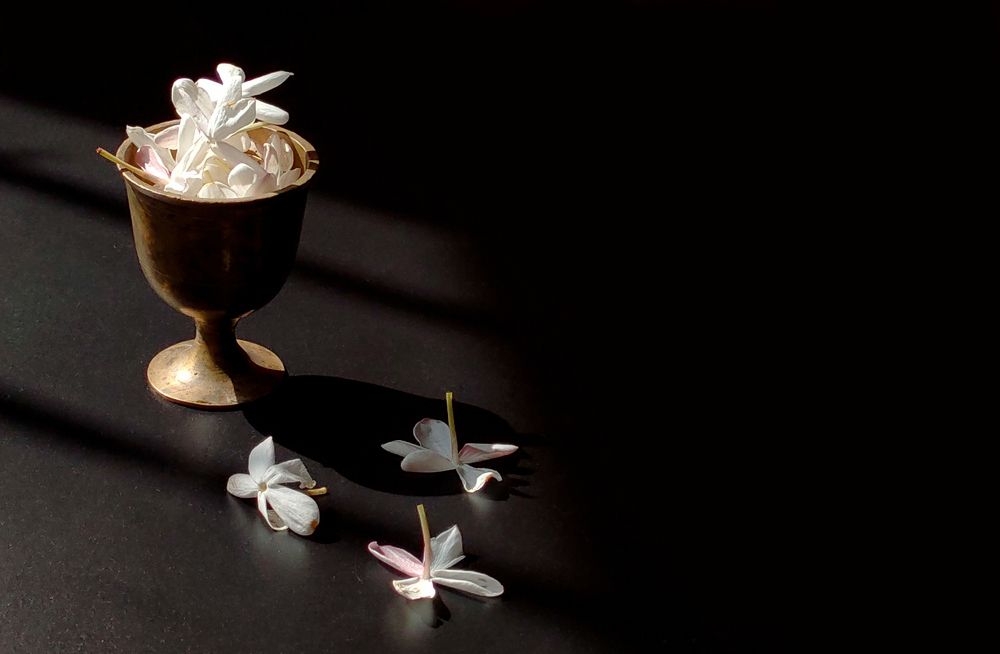 Photograph by Mohamed Kaouche