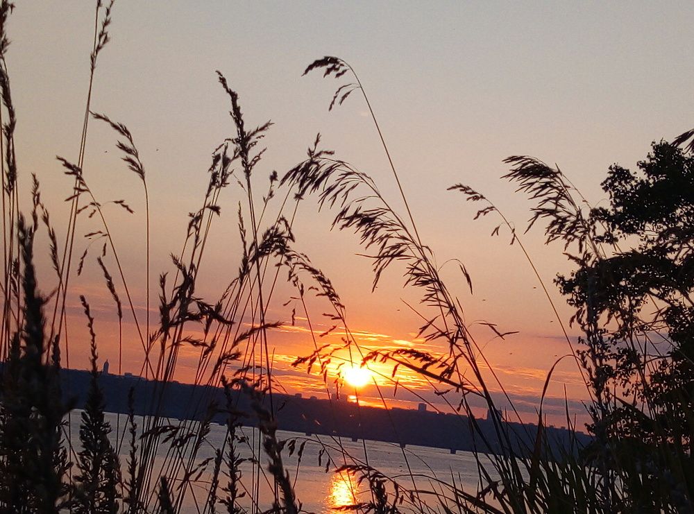 Photograph by Евгений Артемьев