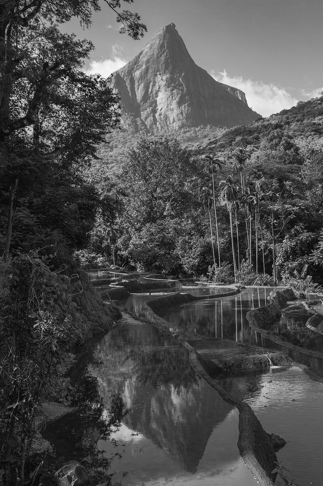 Фотография автора Laddu Sasindu Pramuditha De Silva