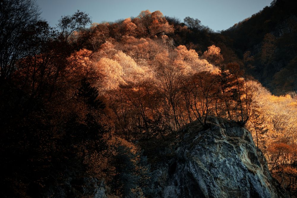 Photograph by Владимир Зайцев