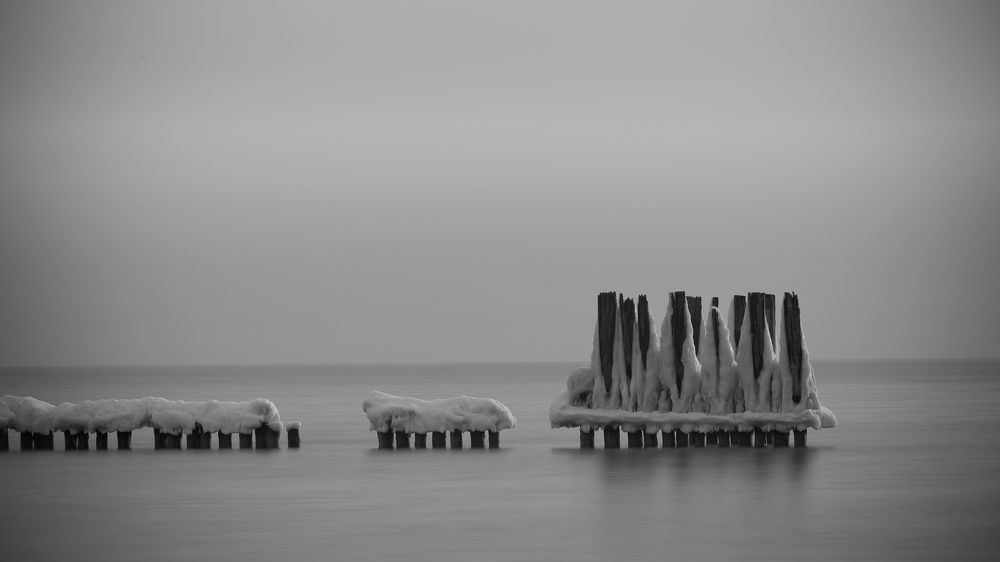 Photograph by Wiktor Kulesa