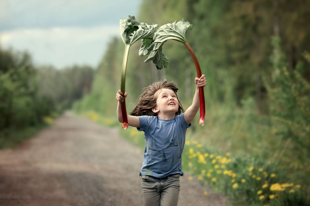 Photograph by Чистякова Валерия