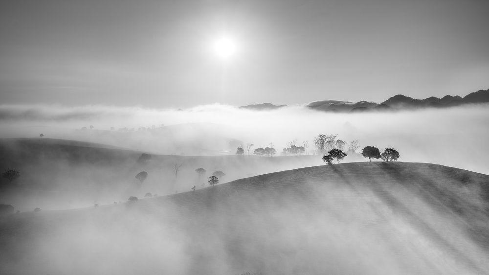 Moc Chau tea hill in morning