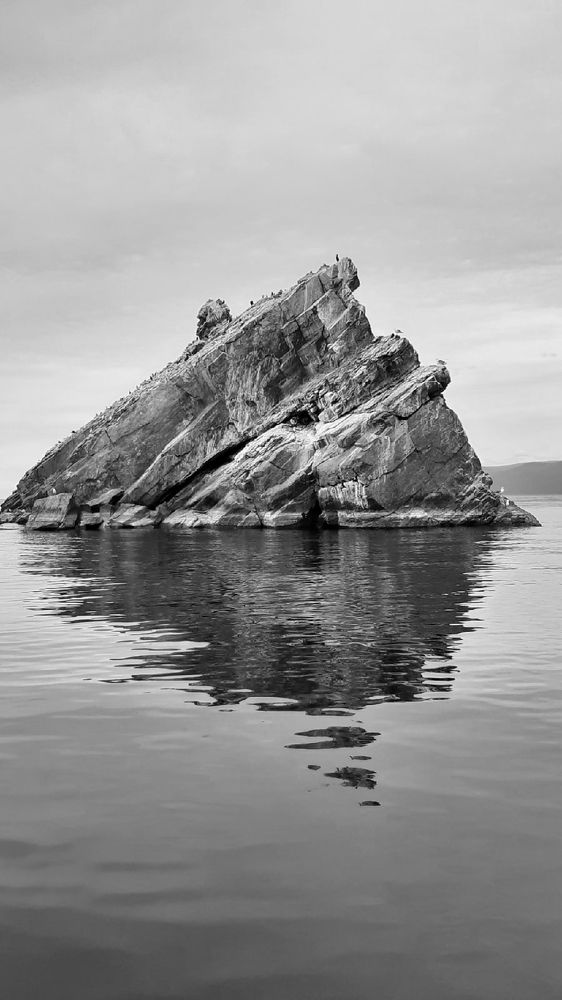 скала с чайками