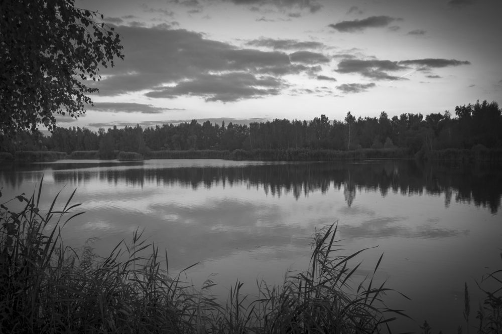 Photograph by Екатерина Рябинина