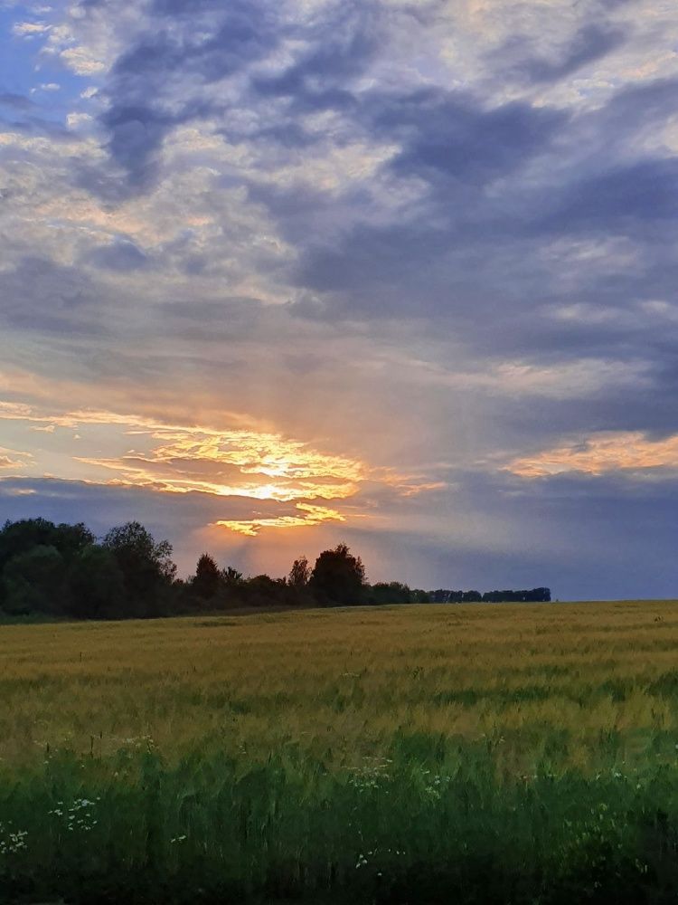 Photograph by Дарья Муллина