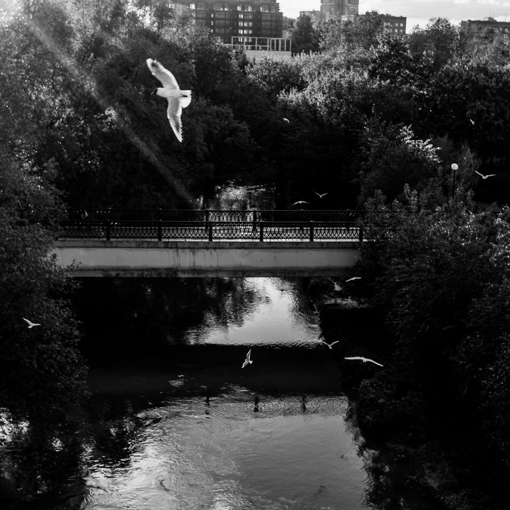 Photograph by Оксана Черновецкая