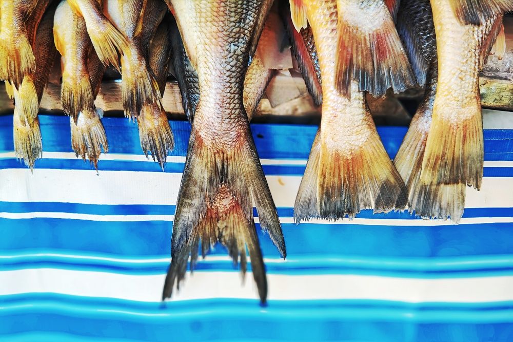 Photograph by André Lobo