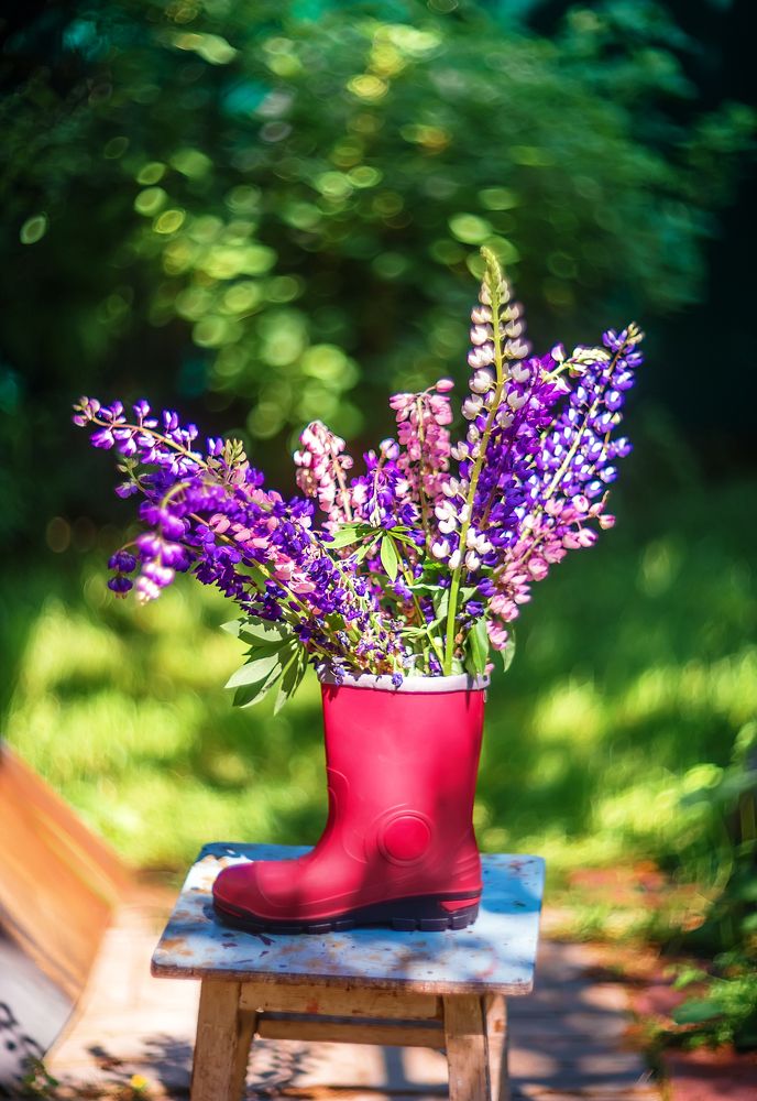 Photograph by Ксения Базарова